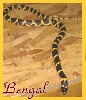 Bengal Sept 04