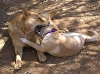 Play Time...