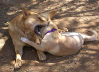 Play Time...