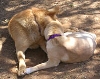 So Sweet...