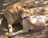So Sweet...