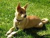 Sun Time...