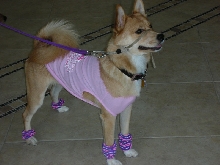 Exercising Diva