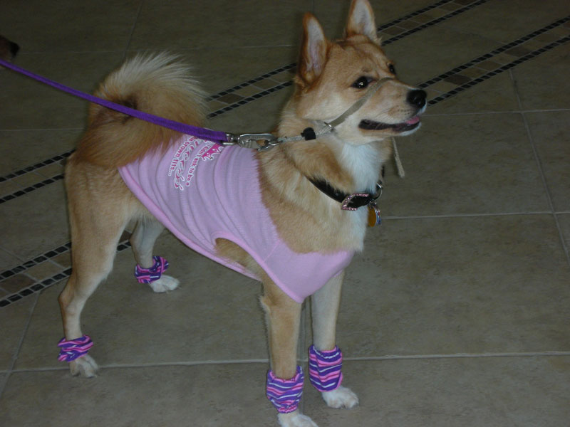 Exercising Diva