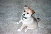 bailey5