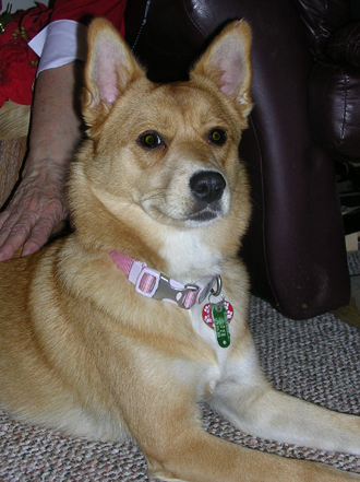 Bailey 2006