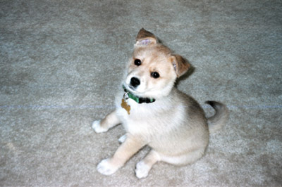 bailey5