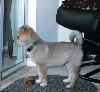 bailey2