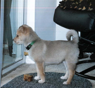 bailey2