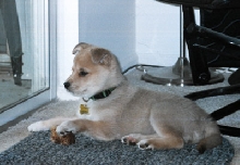 bailey3