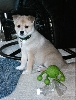 bailey4
