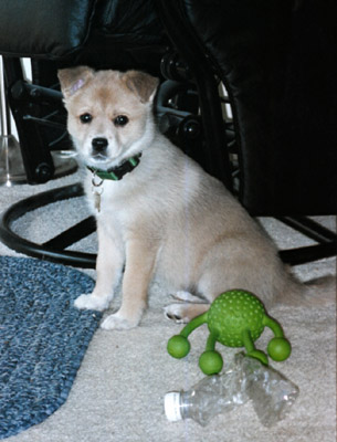 bailey4