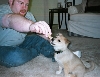 bailey7