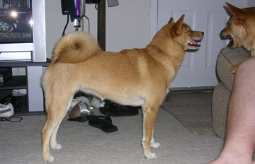 Bailey Side Shot