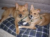 Snuggling Siblings