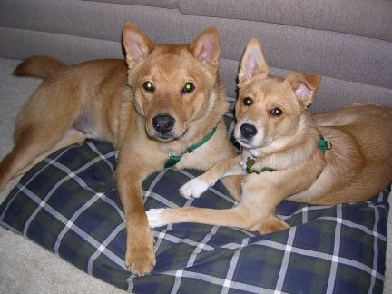 Snuggling Siblings