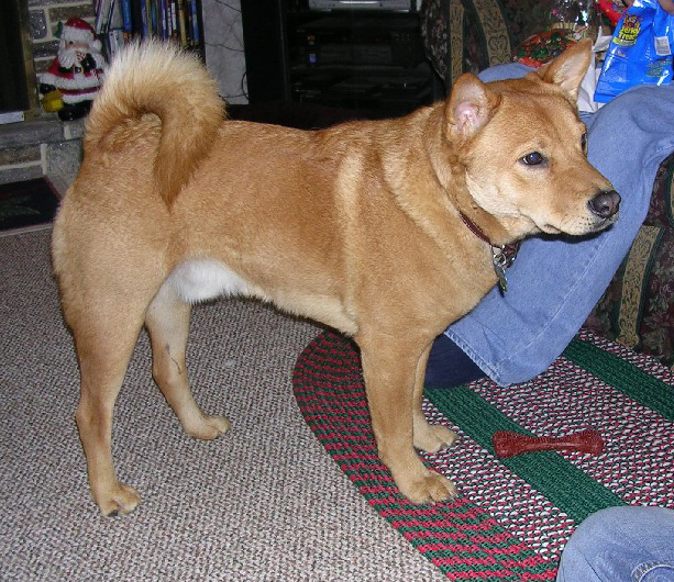 Jasper 2006