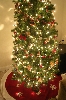Tree 2