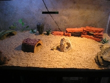 Skiny's Terrarium
