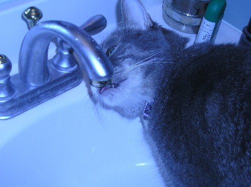 Caught in the act