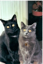 Lita And Dexter