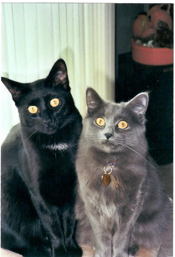Lita And Dexter