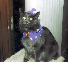 Lita the Wizard!