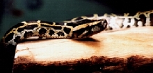 8months ago