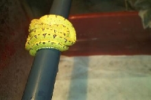 my gtp
