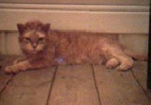 Regi   1985-2004