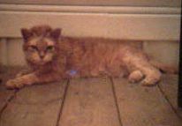 Regi   1985-2004