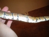 pepper6