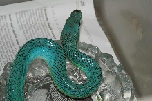 Gony Blue