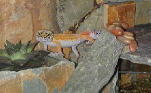 Exploring