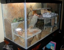 Gilean's new pad