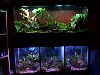 tanks
