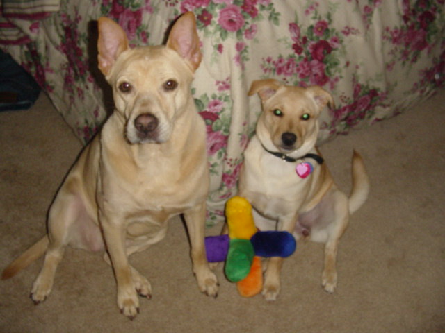Sidney and Zelda