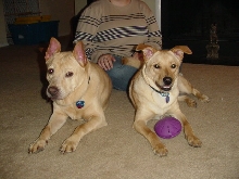 Sidney and Zelda