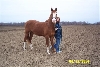 Red & I