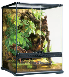 my tank