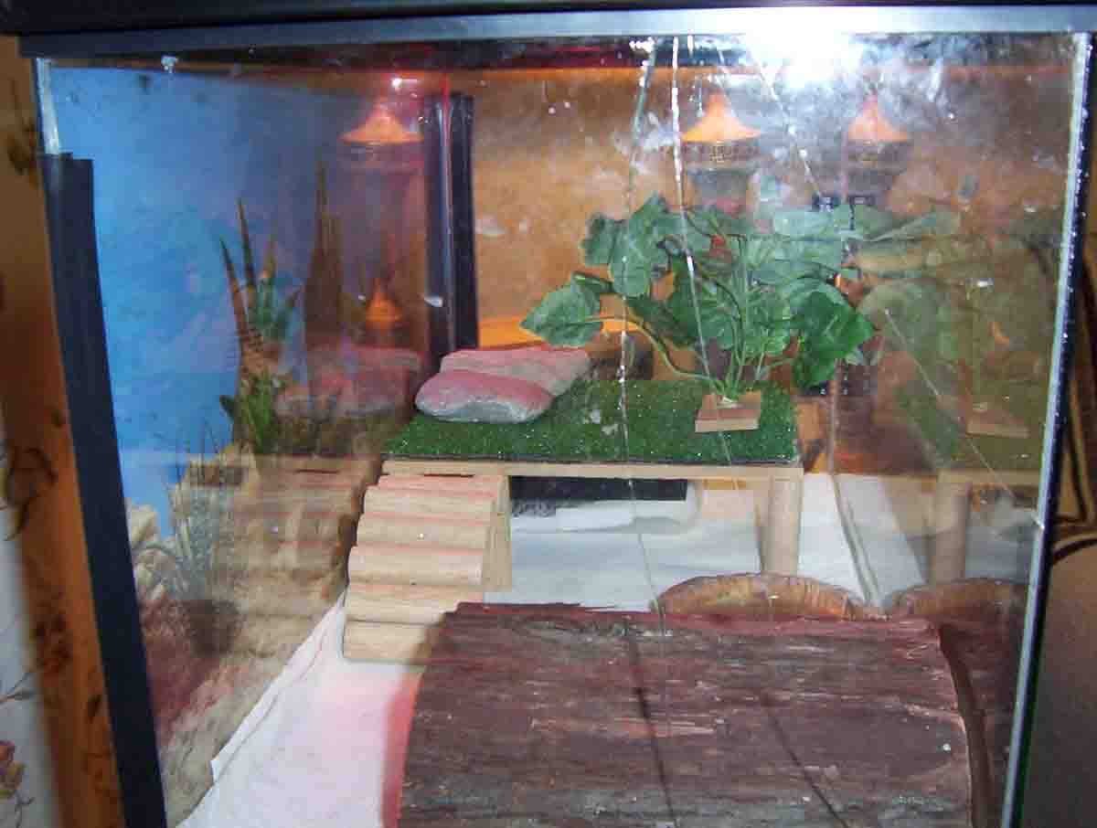 viv2