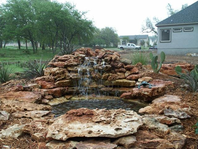 Pond and Water Garden Photos