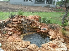 Pond and Water Garden Photos