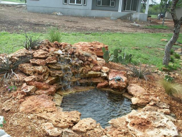 Pond and Water Garden Photos