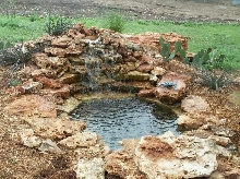 Pond and Water Garden Photos