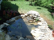 Pond and Water Garden Photos