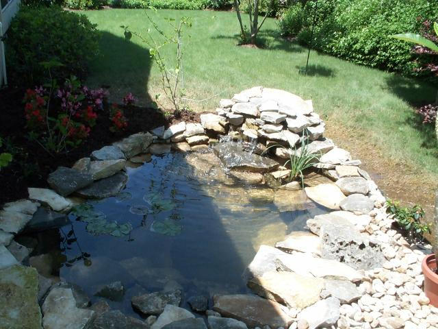 Pond and Water Garden Photos