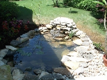 Pond and Water Garden Photos