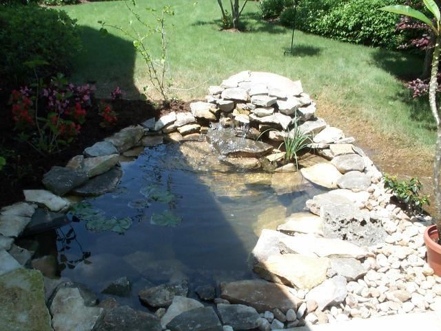 Pond and Water Garden Photos
