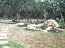 Pond and Water Garden Photos